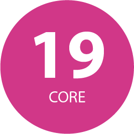 19 Core