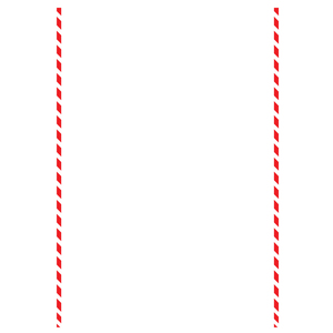 Shipper's Declaration for Dangerous Goods, A4 Border, 500 Sheets